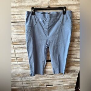 Ruby Rd. Women's Blue Shorts